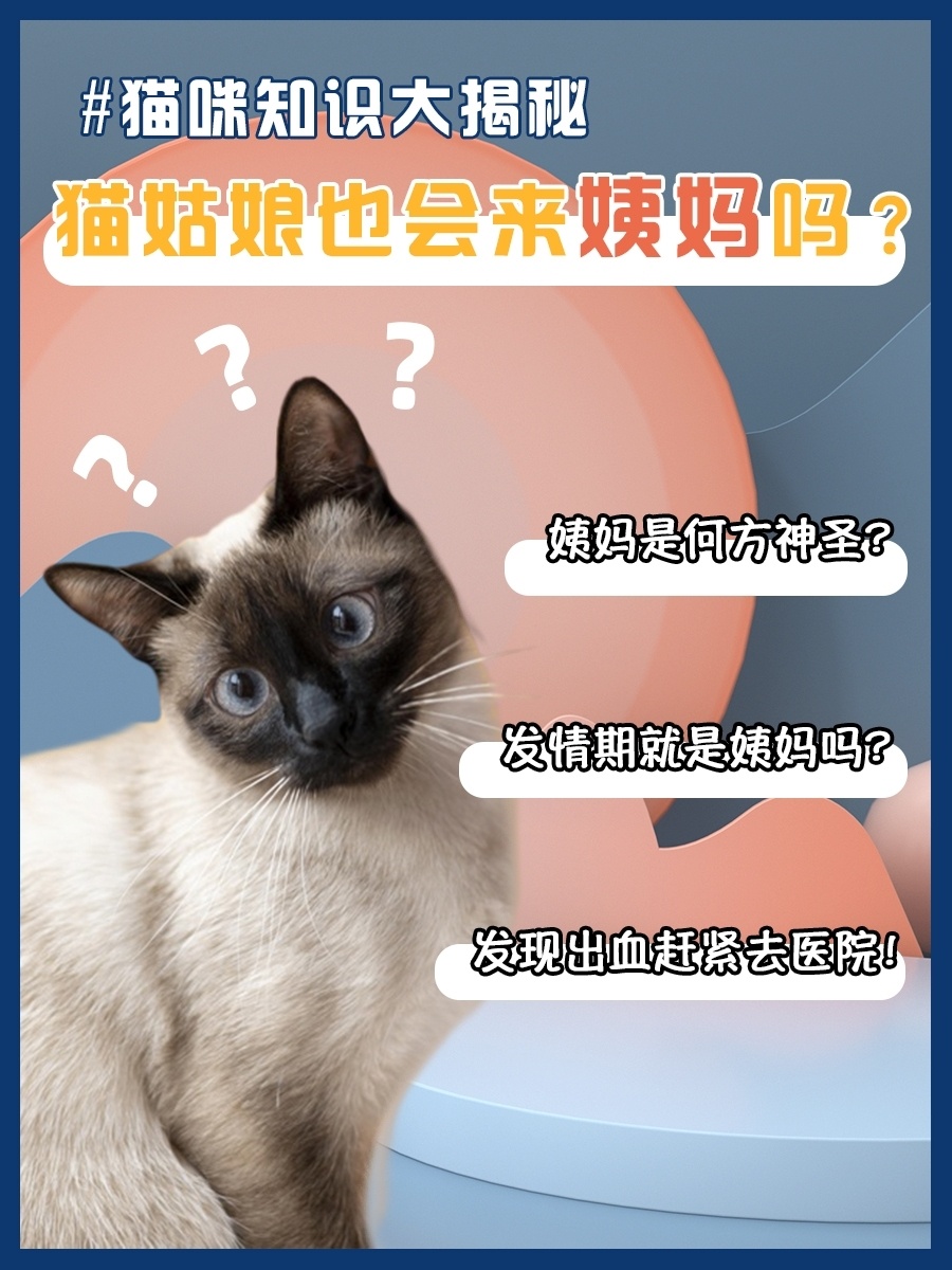 羞羞网页入口页面登陆羞羞网页入口页面登陆的探索与理解