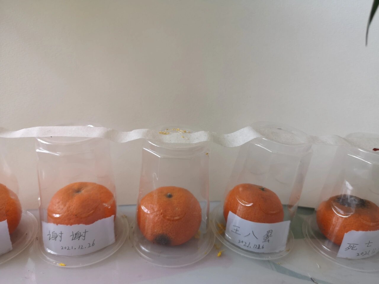 小东西的疏忽，几天没做水，竟让水变多