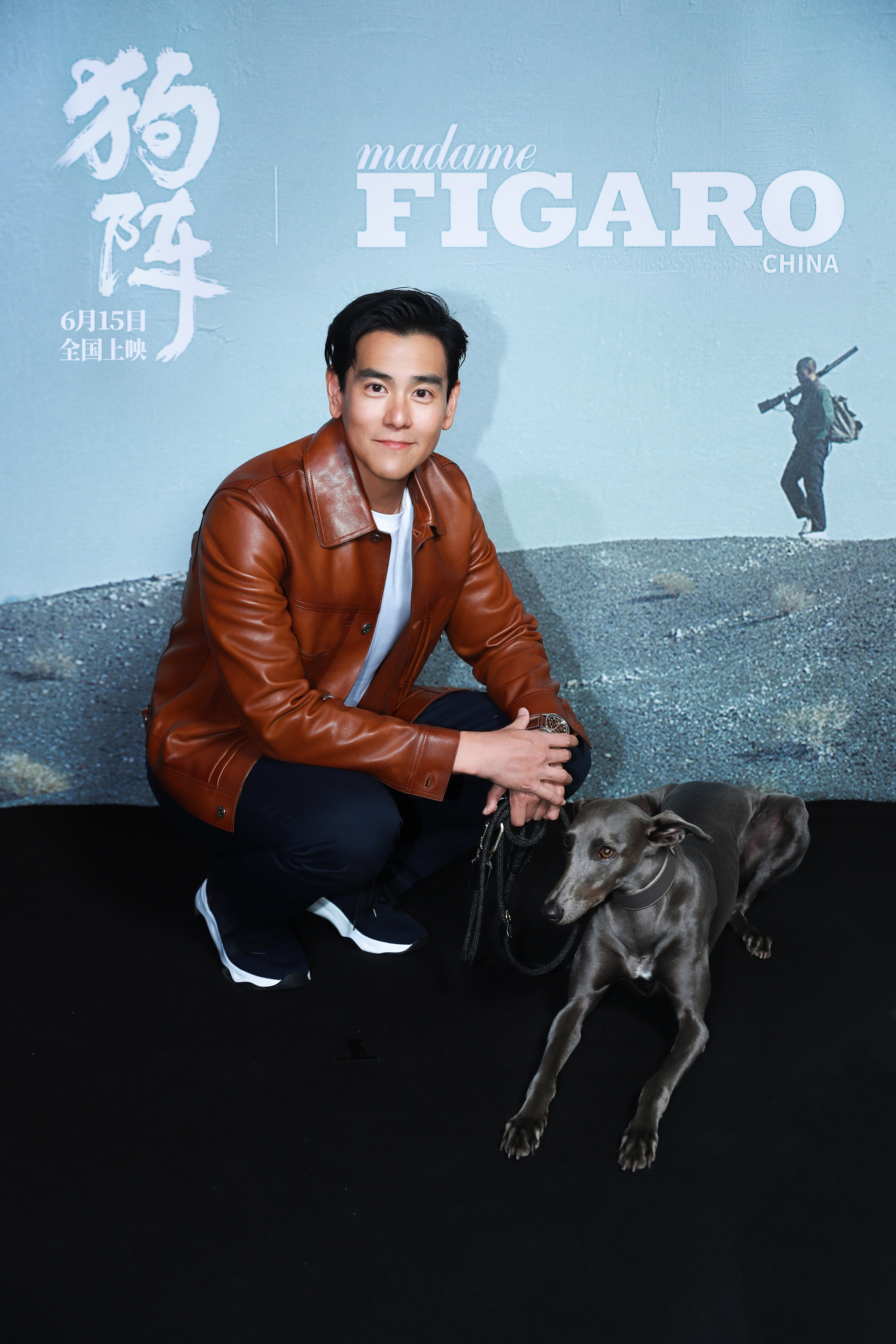 李美淑电影，璀璨星光下的艺术呈现