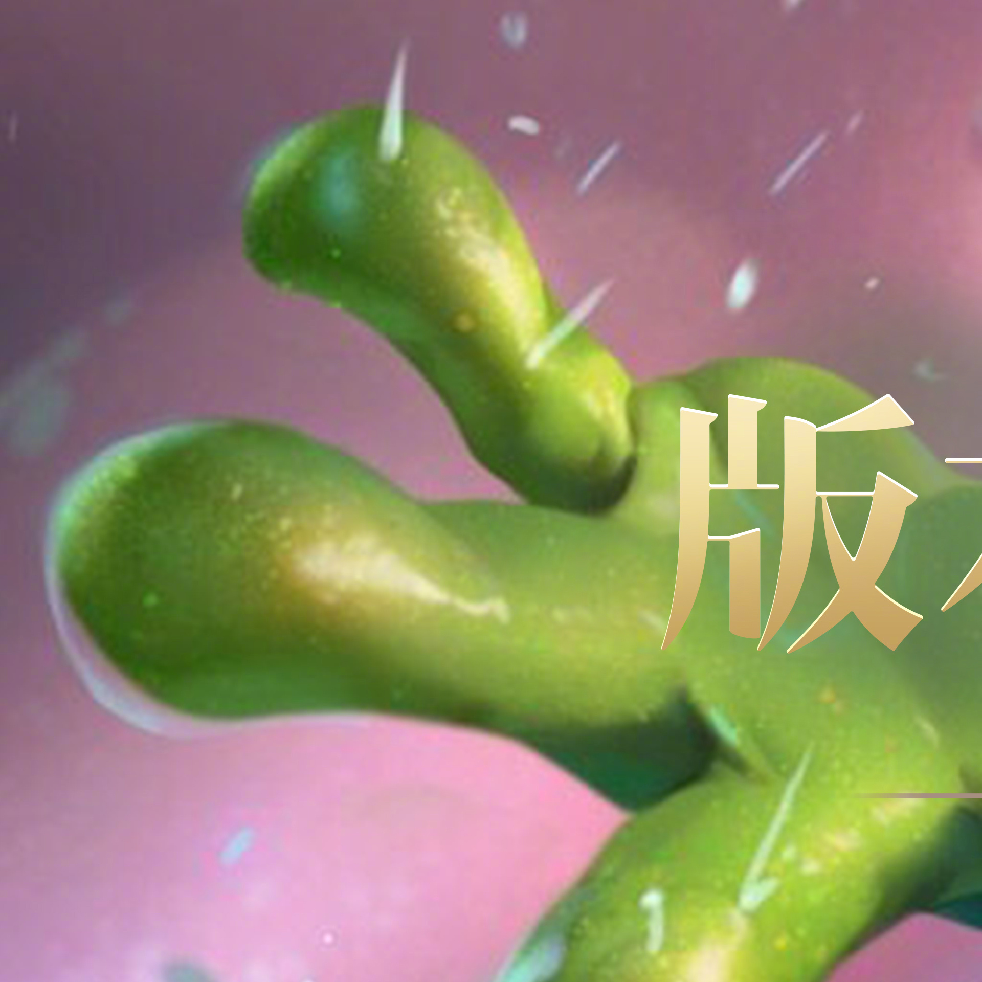 LOL玩家必备，出装查询网站大揭秘