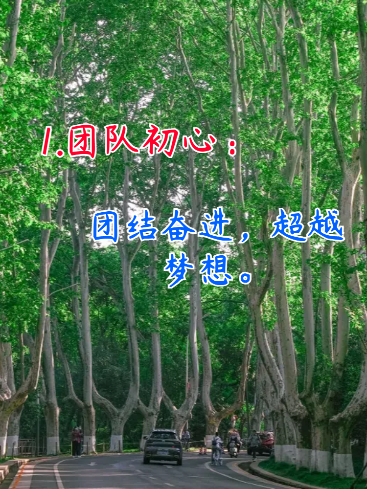 MOP稀有精英，独特价值与卓越成就的探索