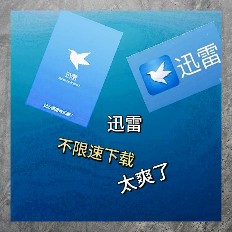 迅雷免费会员，便捷下载，畅享网络资源新体验