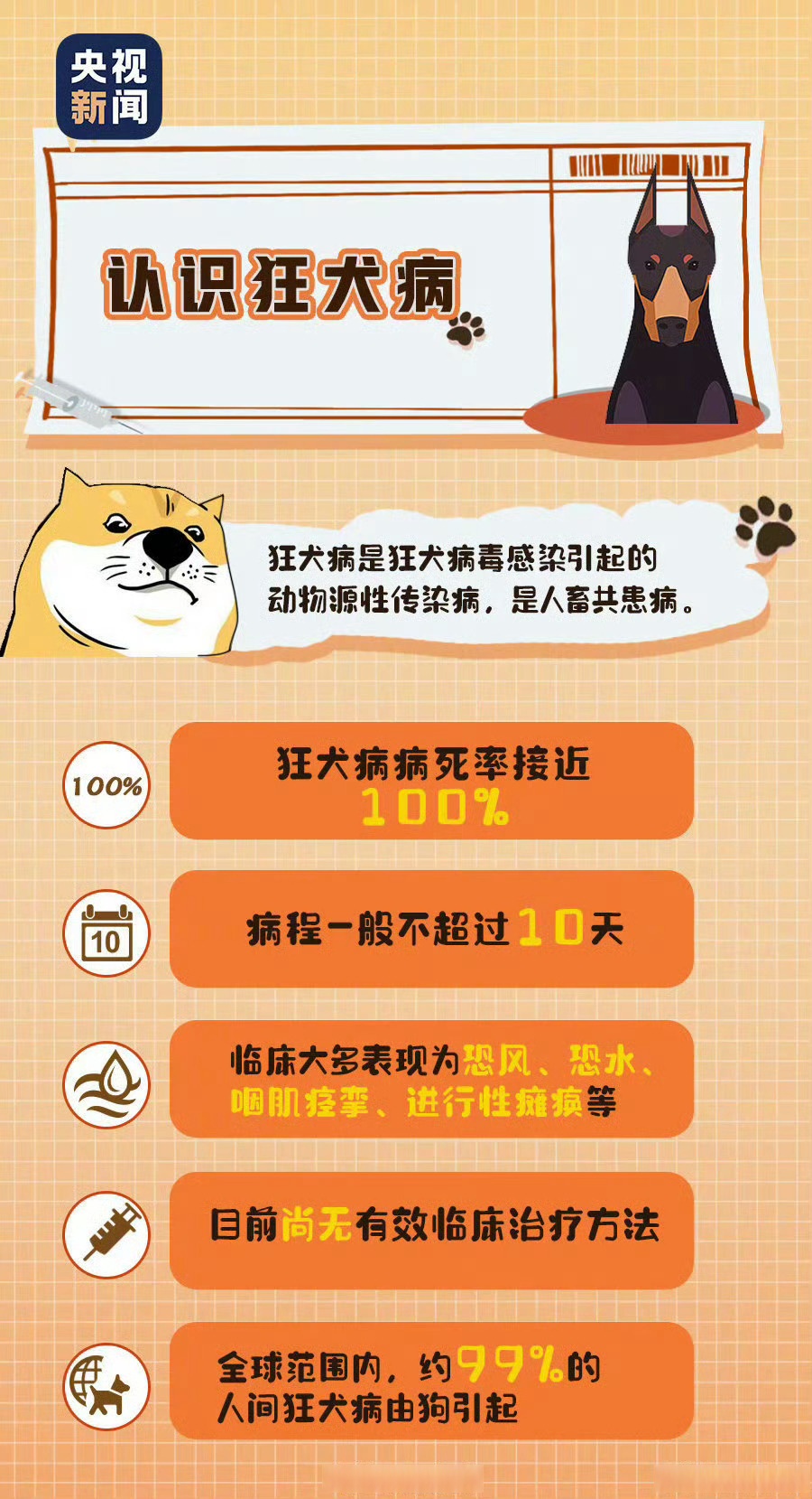如何教狗狗学会自我清洁-第1张图片