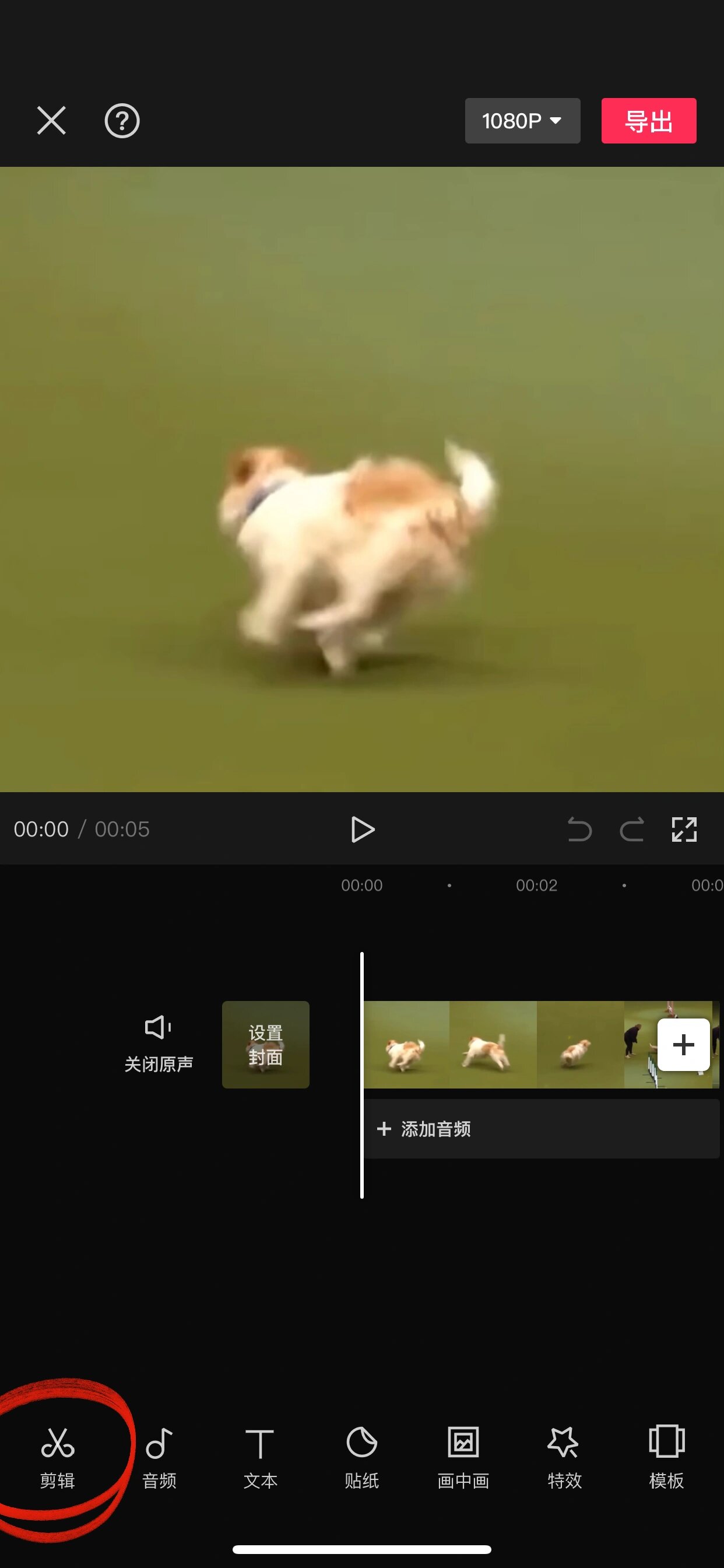 麻豆文化传媒剪映www麻豆文化传媒剪映免费网址的探索与体验
