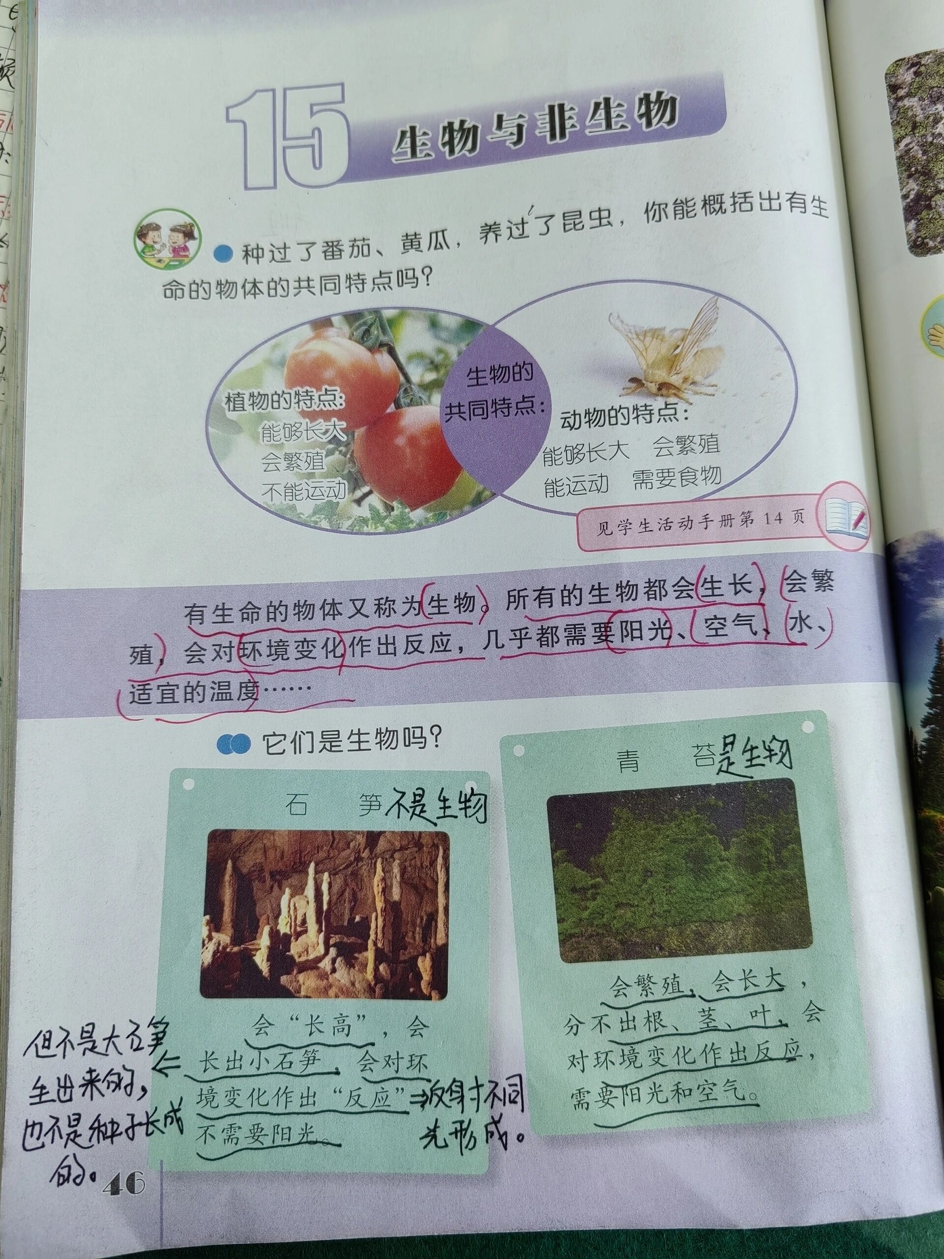 生物繁殖课老师拿自己做例子可以吗以我为例，生物繁殖课上的生动教学-第2张图片