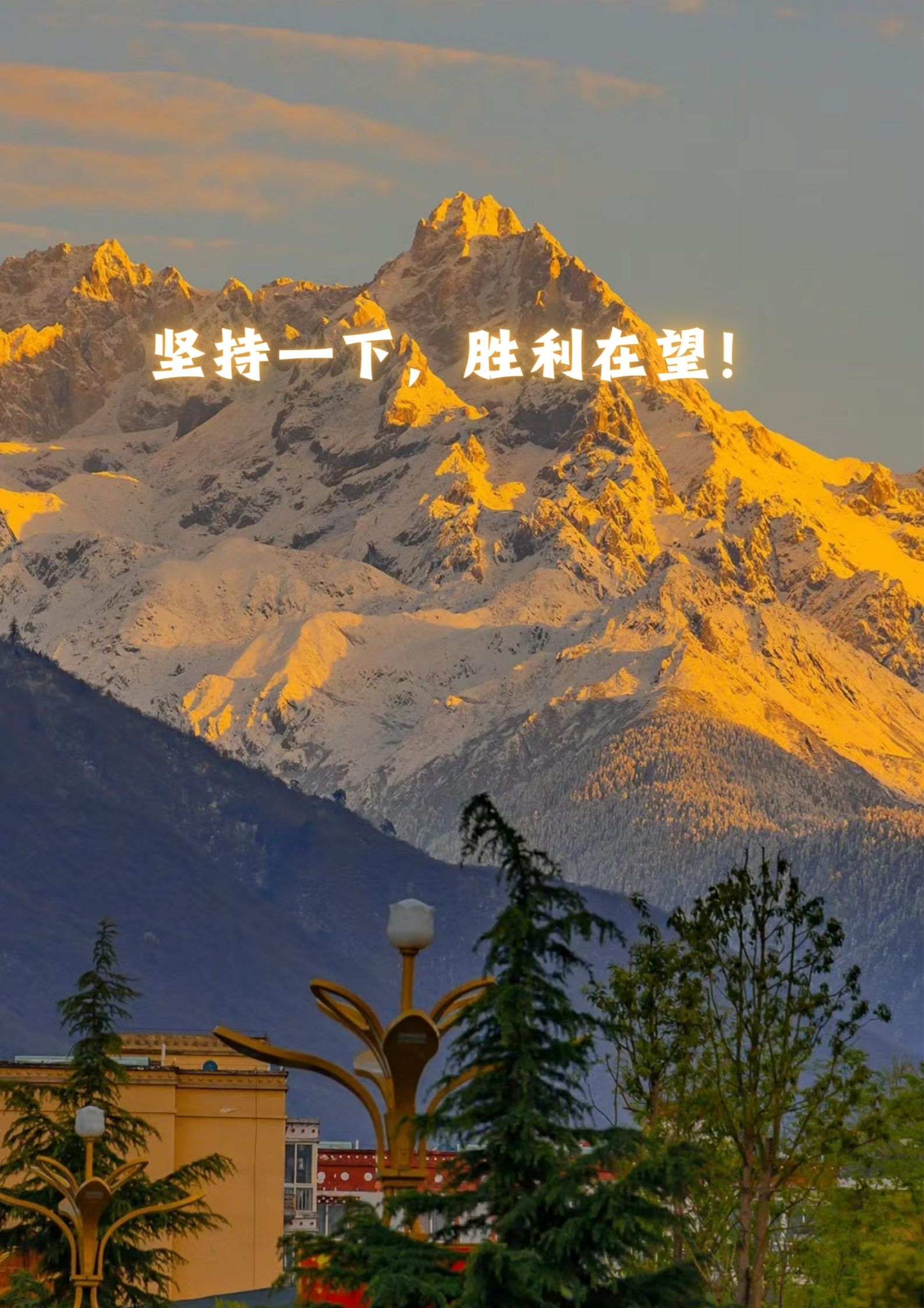 四放播播四放播播的魅力与影响