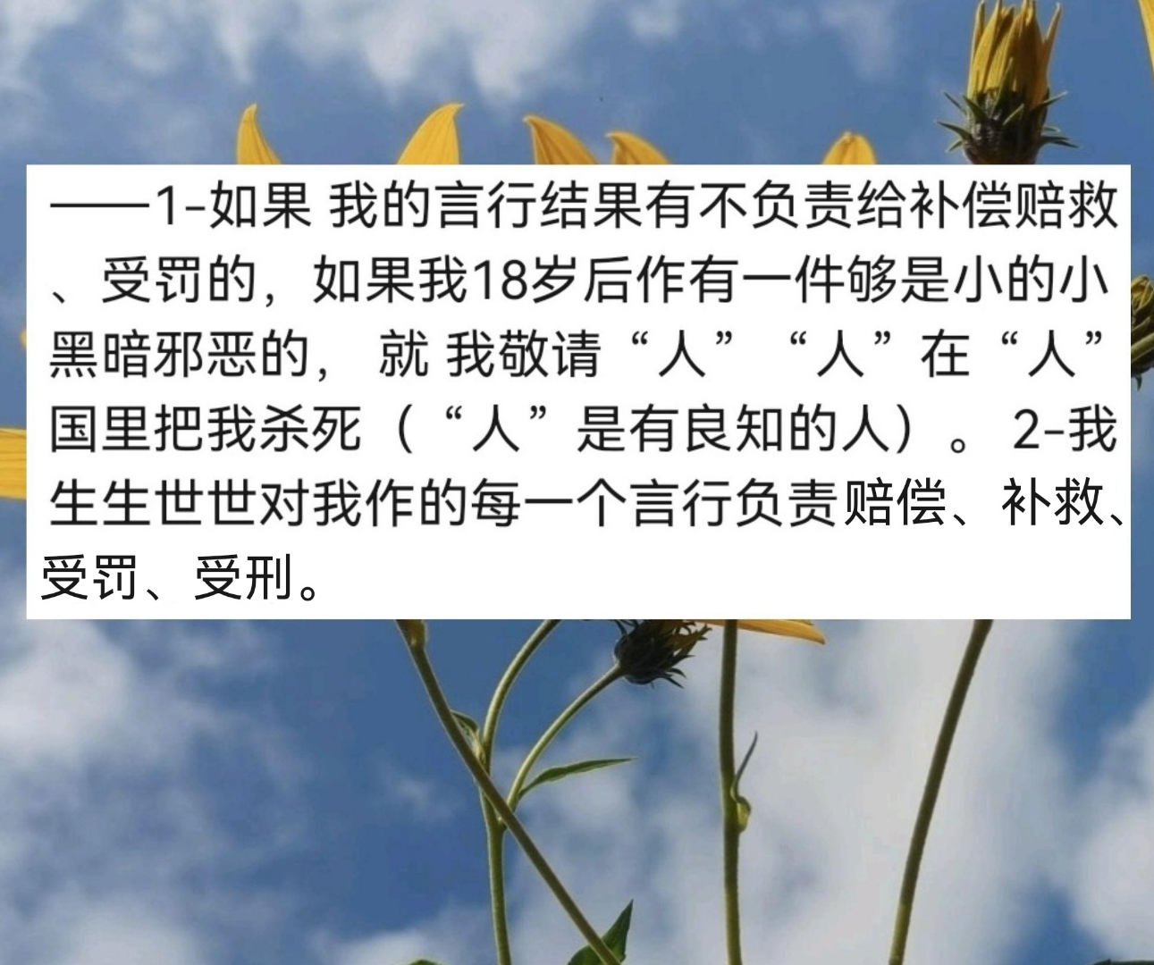 贤者之路，智者如何加点