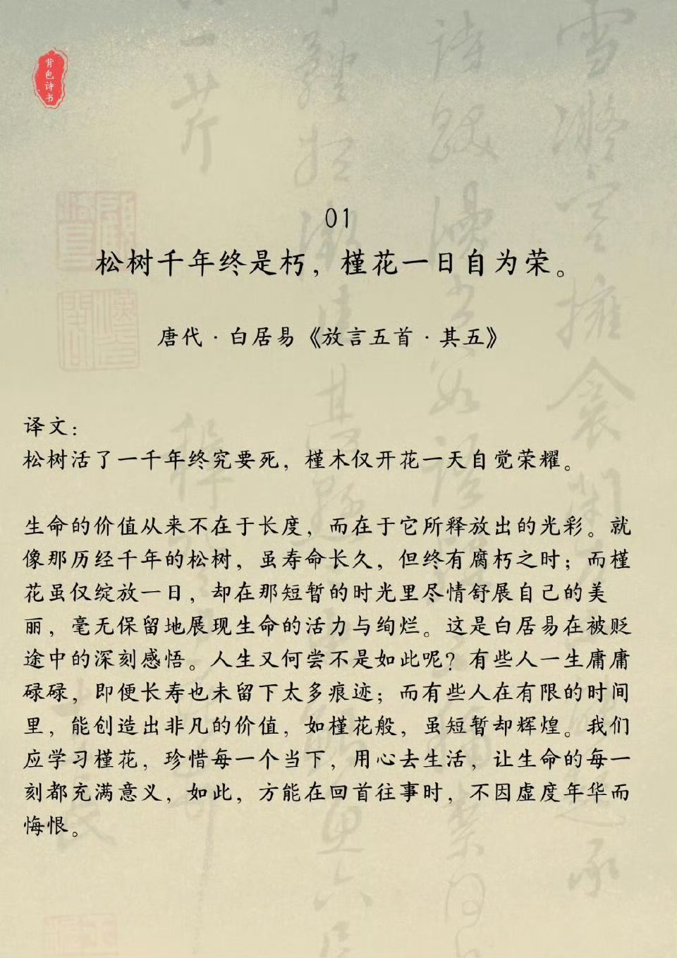 翁止婉燕之痒，寻觅岁月中的宁静
