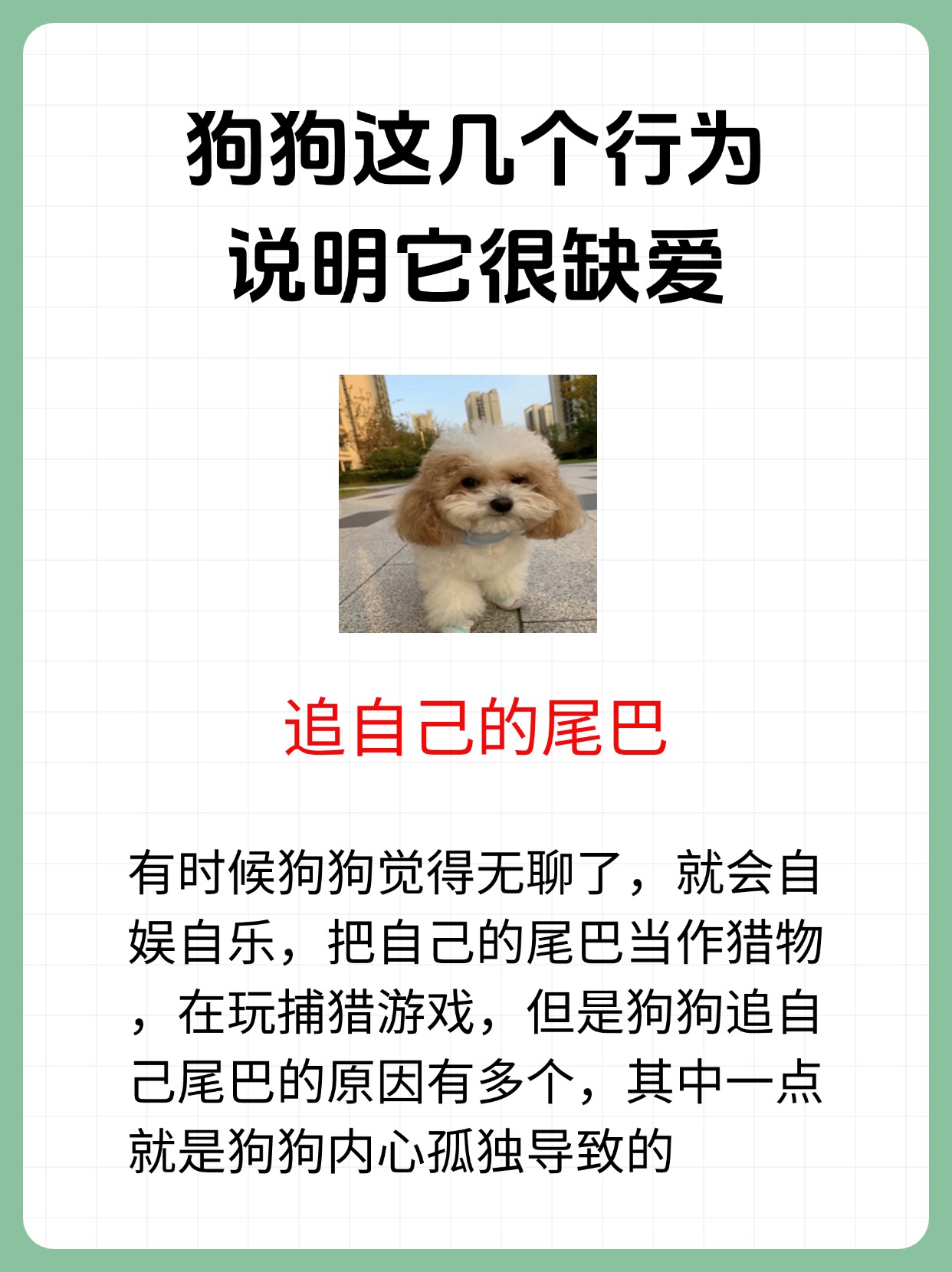 被自己家狗上瘾了怎么办视频面对与自家狗狗的过度依赖，如何克服被自己家狗上瘾的困扰？-第2张图片