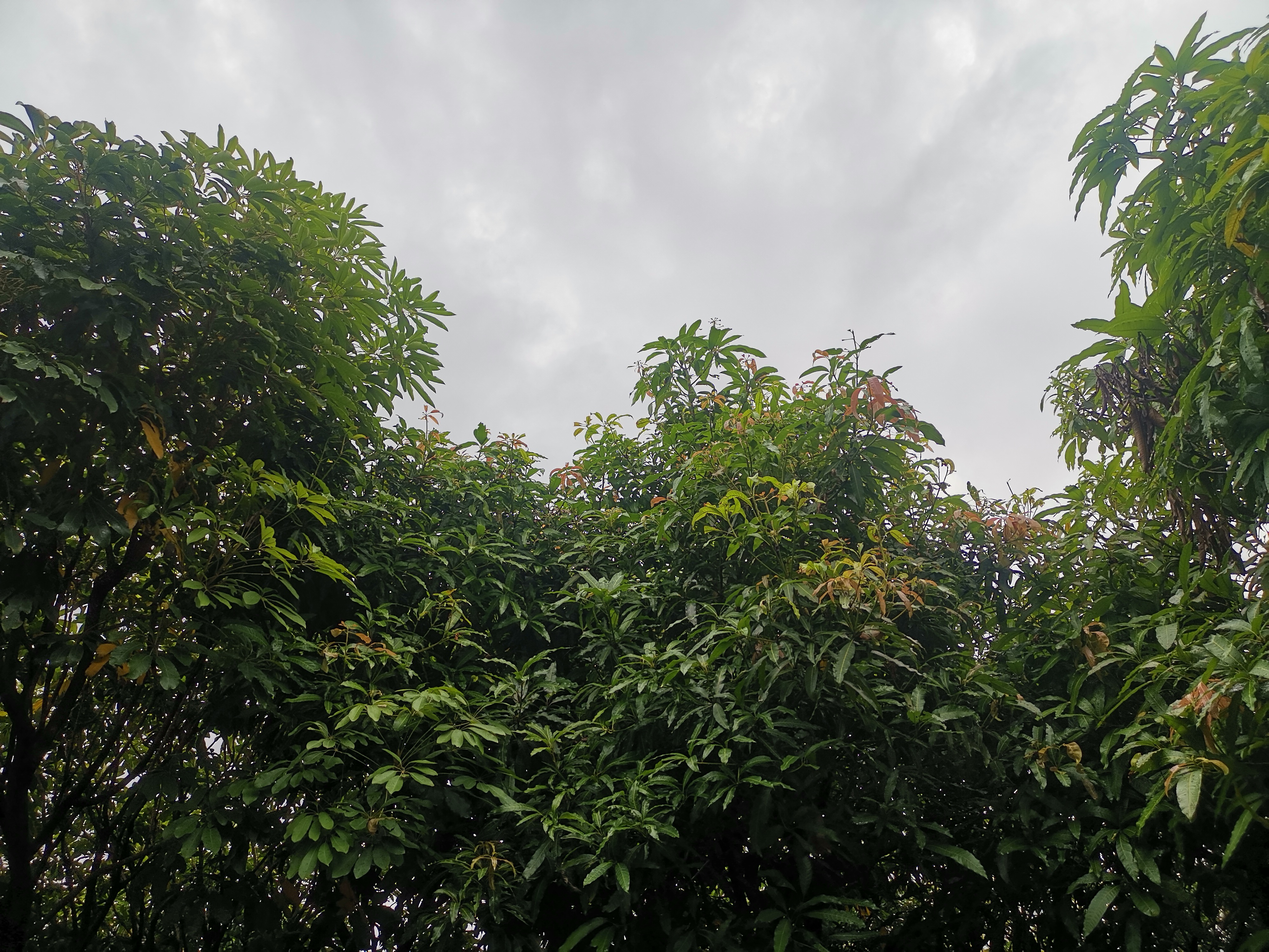 草比网，一个独特的在线平台-第2张图片