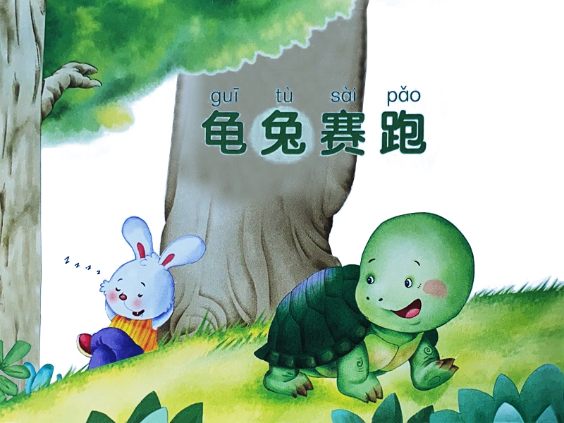 老师您的兔子好软水好多老师，关于您与兔子的温馨故事-第3张图片