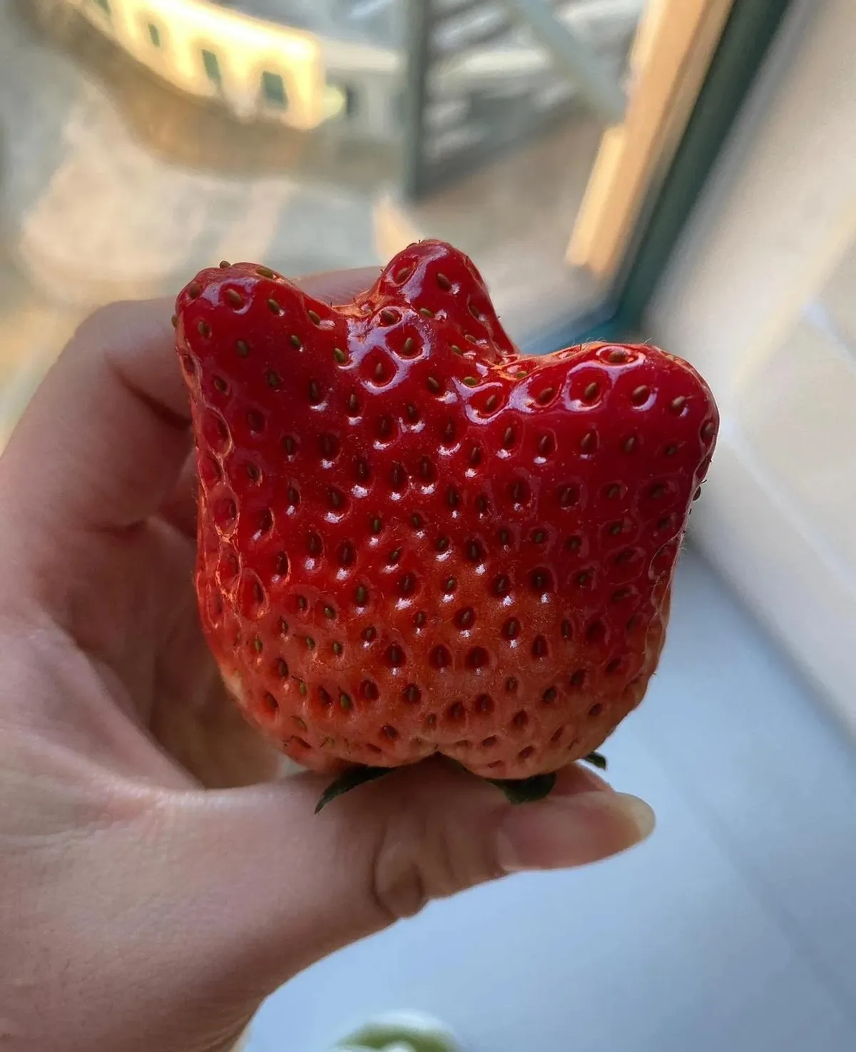 精产国品一二三产区草莓探索中国精产国品一二三产区草莓的魅力-第2张图片
