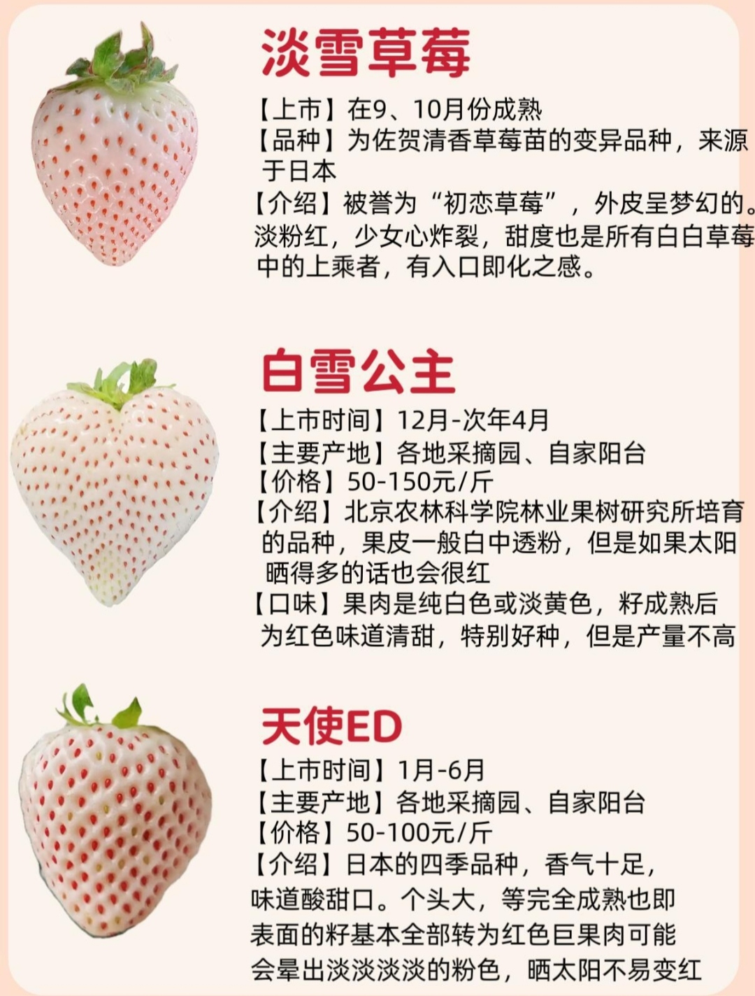 草莓榴莲向日葵秋葵大全草莓、榴莲、向日葵与秋葵的全方位解析与美食指南-第2张图片