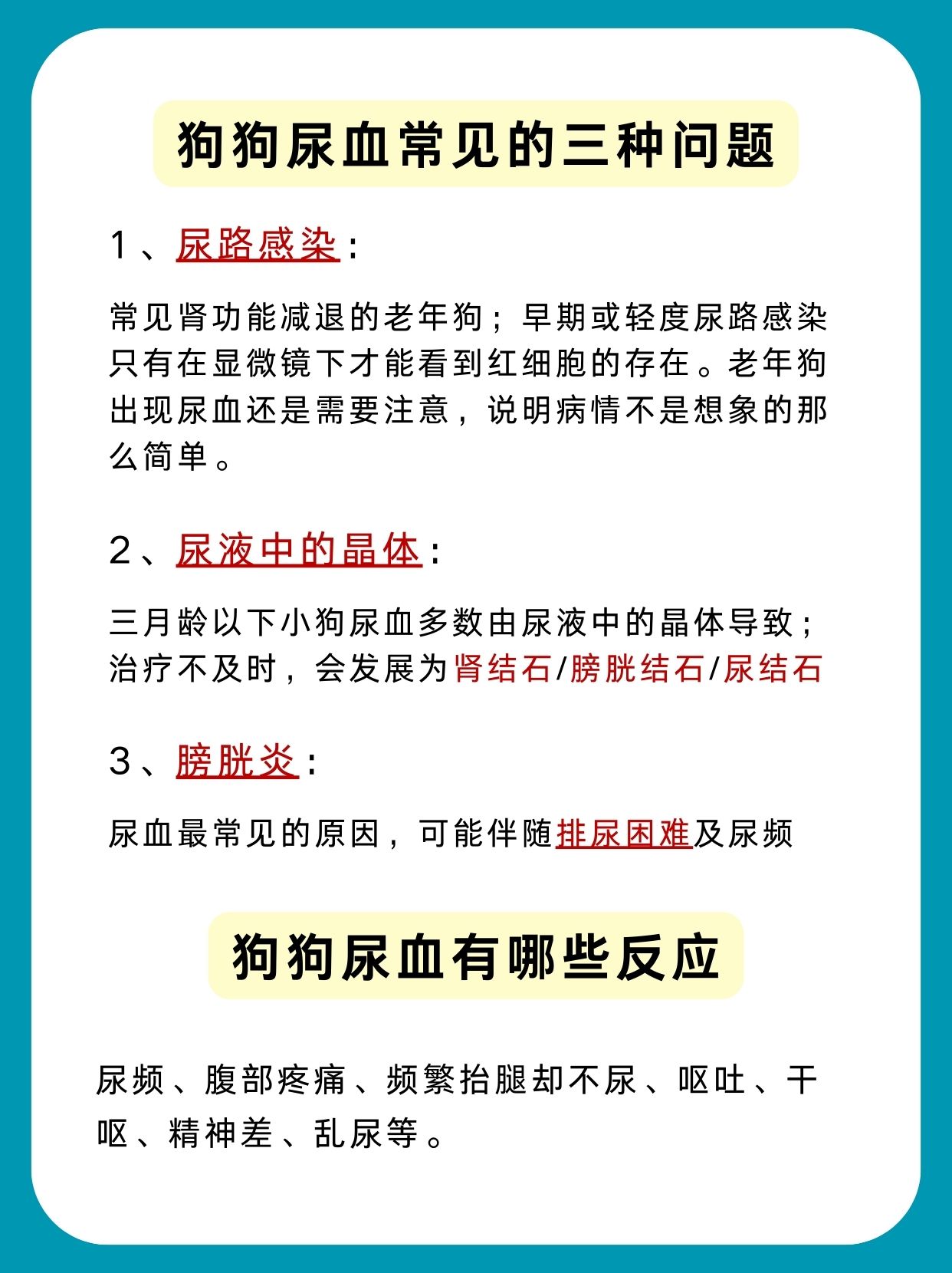 主人尿在肚子里不能流出来主人尿在肚子里不能流出的困境