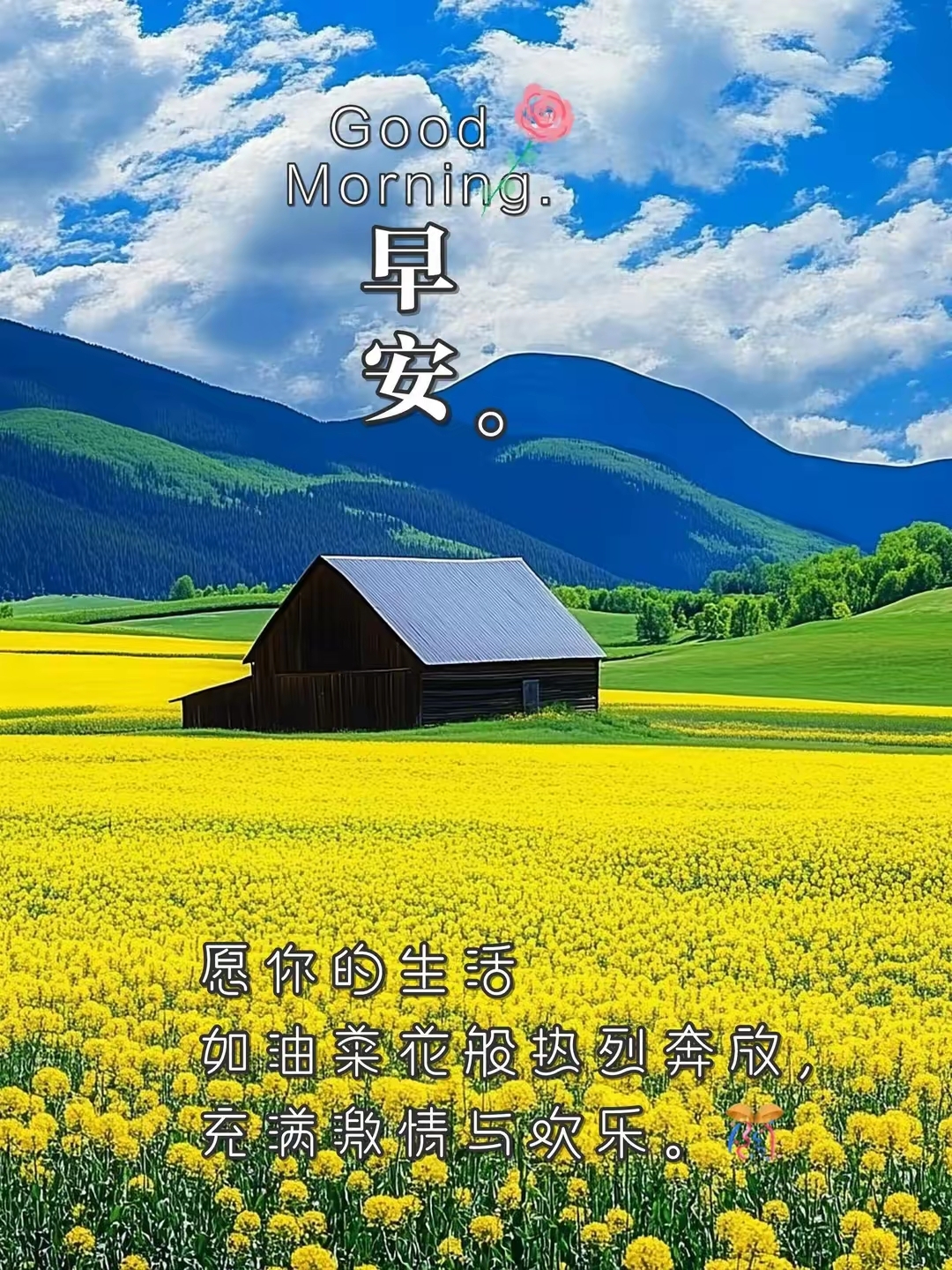 田间欢田间欢，乡村生活的美好与喜悦-第2张图片