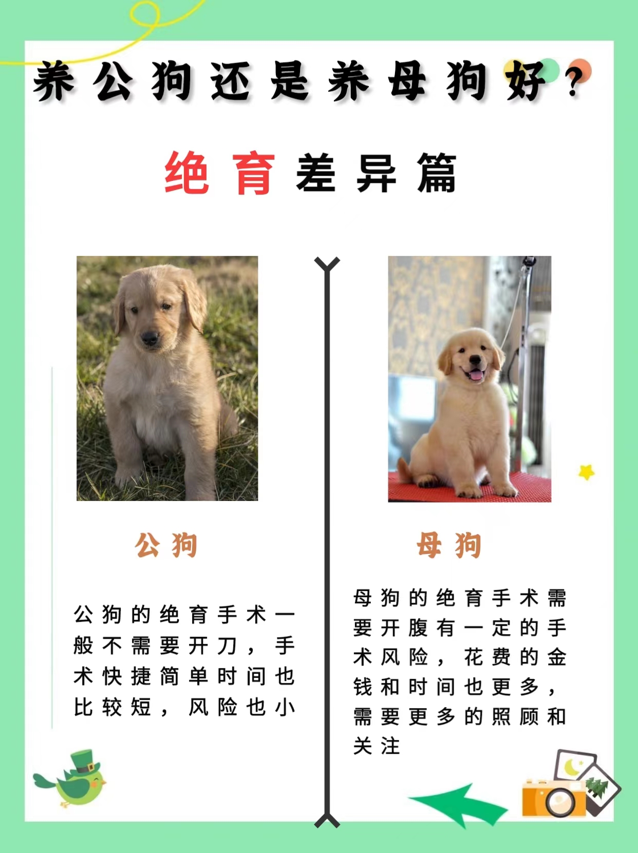 人与狗的交配，科学解读人类与犬类关系-第2张图片