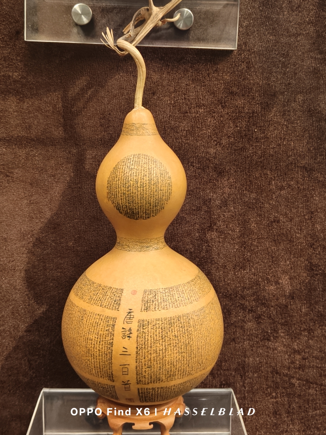 国精产品，一品与二品之独特魅力
