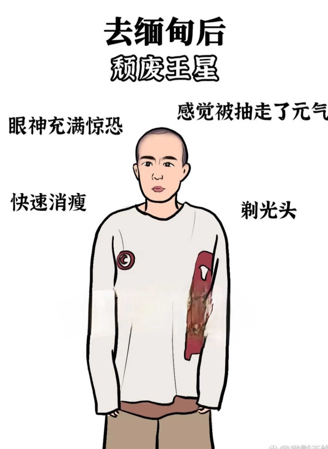 尔康吃金锁肉厨房尔康的厨房奇遇，金锁肉的烹饪之旅