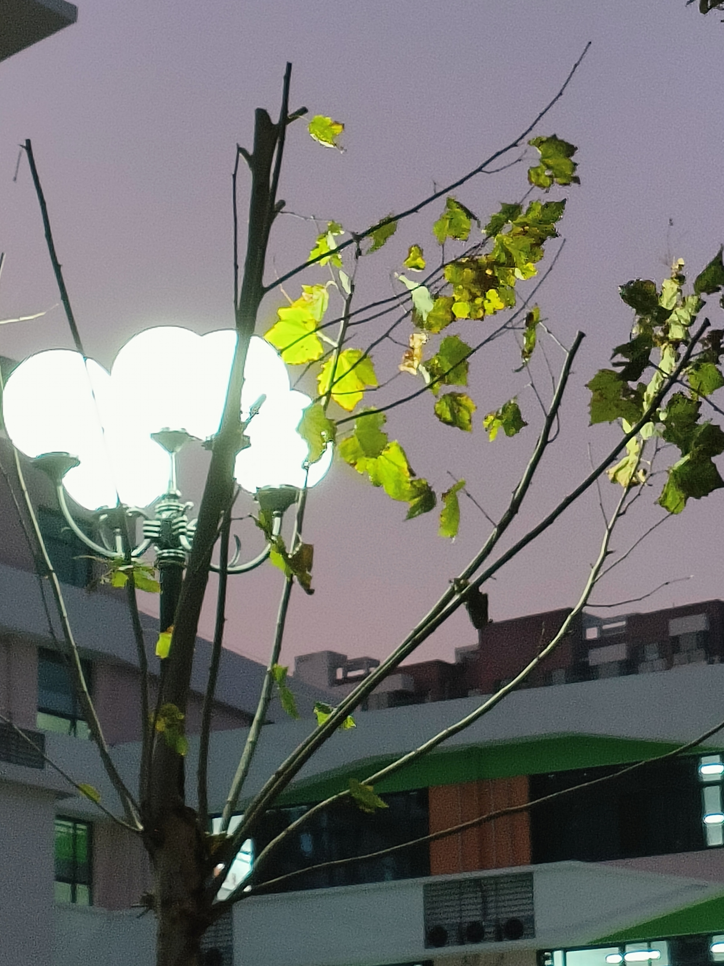 沉默的陪伴，与儿子一上午的静默时光