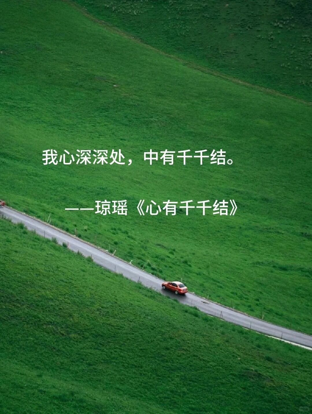 募然回首,那人却在灯火阑珊处蚂蚁庄园灯火阑珊处，寻觅蚂蚁庄园的秘密-第2张图片