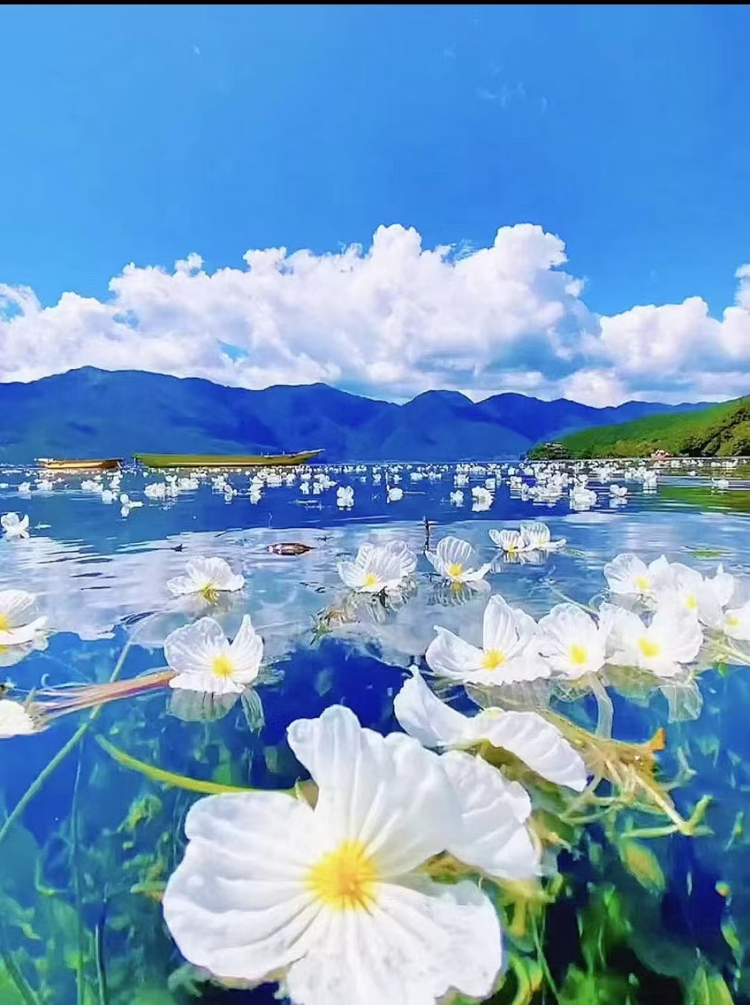 揭秘喷水瑶，一种独特的文化现象-第1张图片