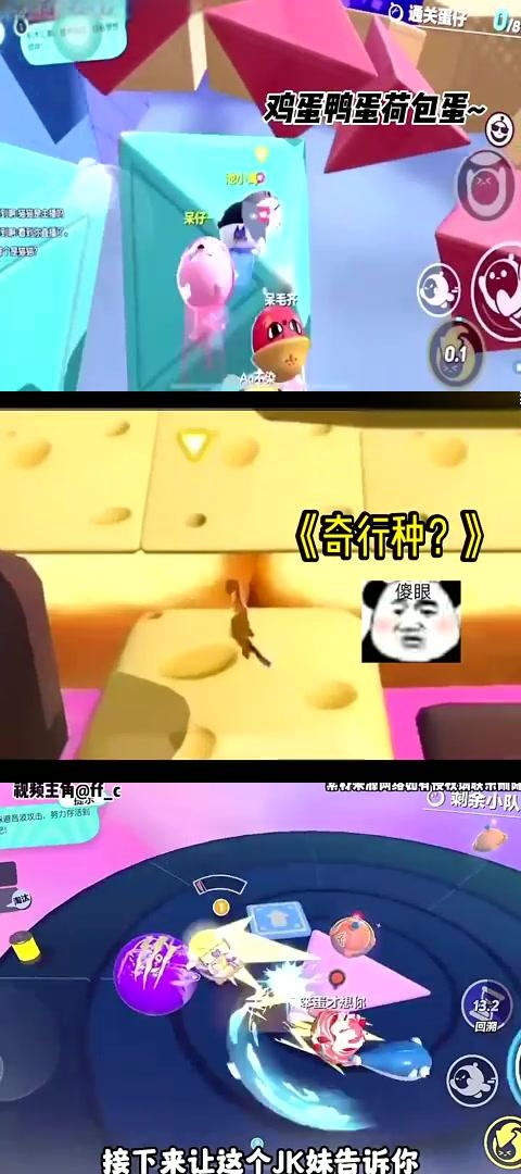 派对解决方案，打造完美派对体验的全方位策略
