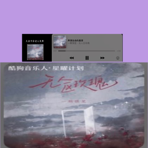 无人区玫瑰歌曲介绍无人区玫瑰MV观看指南