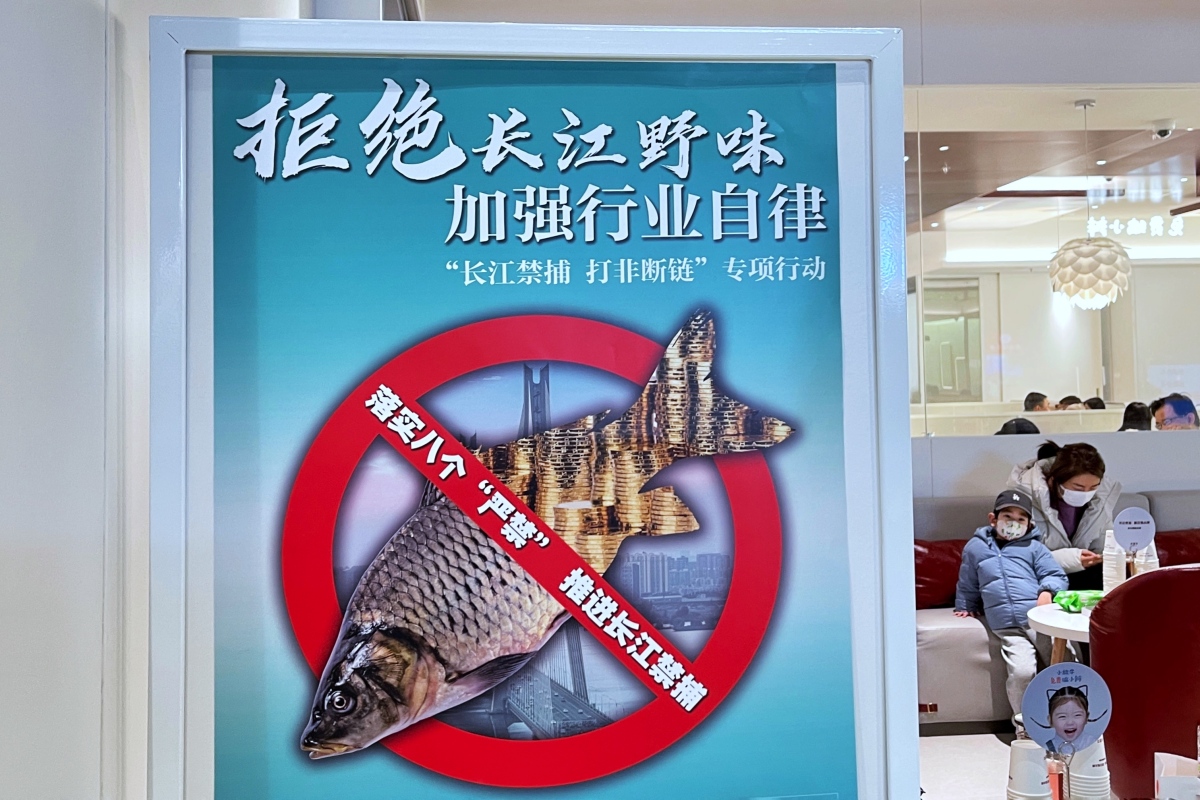 俄罗斯Zoom动物另类网址俄罗斯的ZOOM动物，探索神秘的自然宝藏