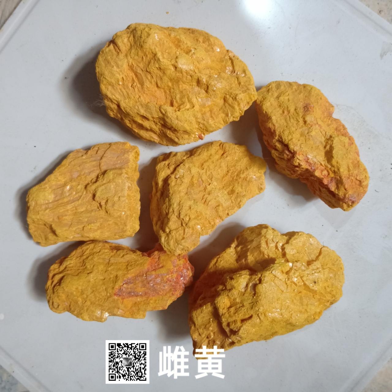 雌黄蚂蚁庄园的奇妙世界-第1张图片