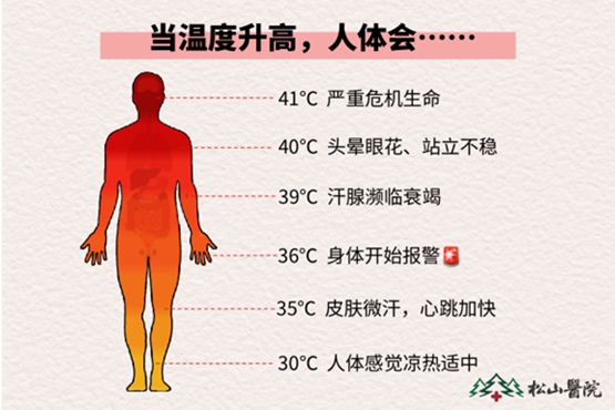 狗狗热射病症状春雨医生，狗狗射速太快，我该如何应对？