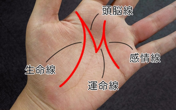 生命线 攻略生命线攻略，探索与成长的智慧之书-第2张图片