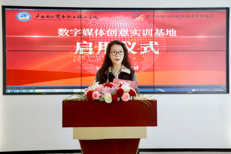 天美传媒免费入口，探索数字媒体的新领域