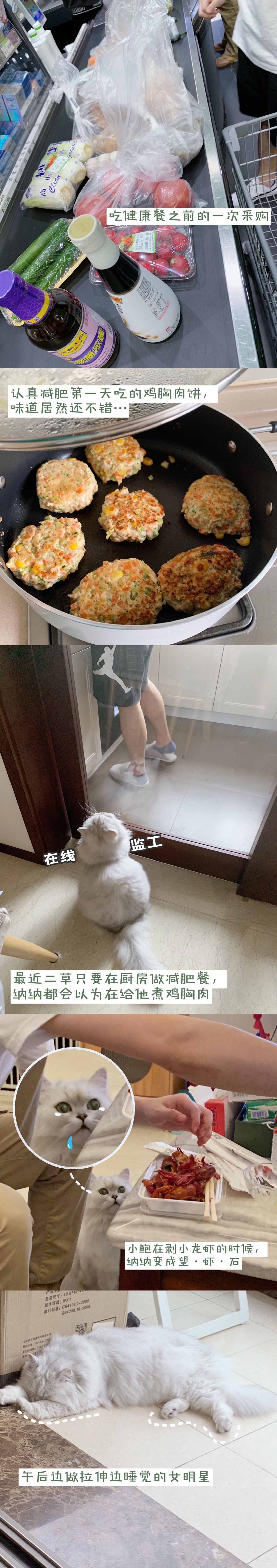 啦啦啦视频，在线视频免费观看的全新体验-第2张图片