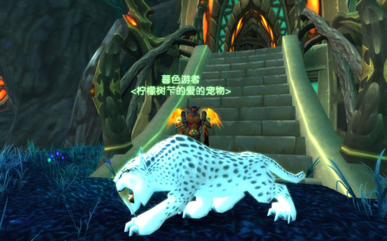 猎人宠物必抓的几种宝宝猎人之心，与宠物的无尽羁绊-第2张图片