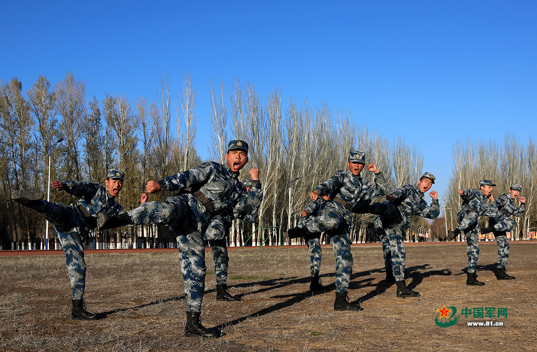 新兵软件新兵下载，开启数字化时代的军事新篇章