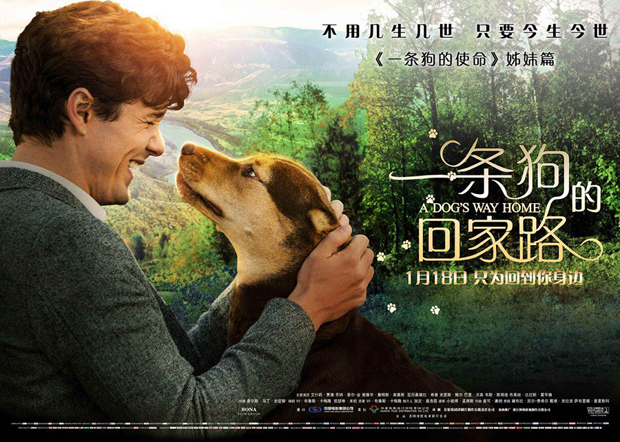 意大利人猿泰山，一段跨越时空的冒险之旅-第1张图片