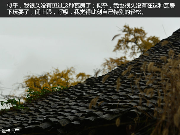 长途汽车的最后一排他要了长途汽车之旅，最后一排的独特体验