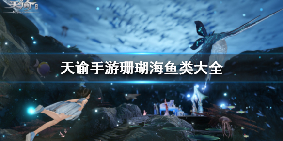 天谕商城在哪天谕商城的探索之旅