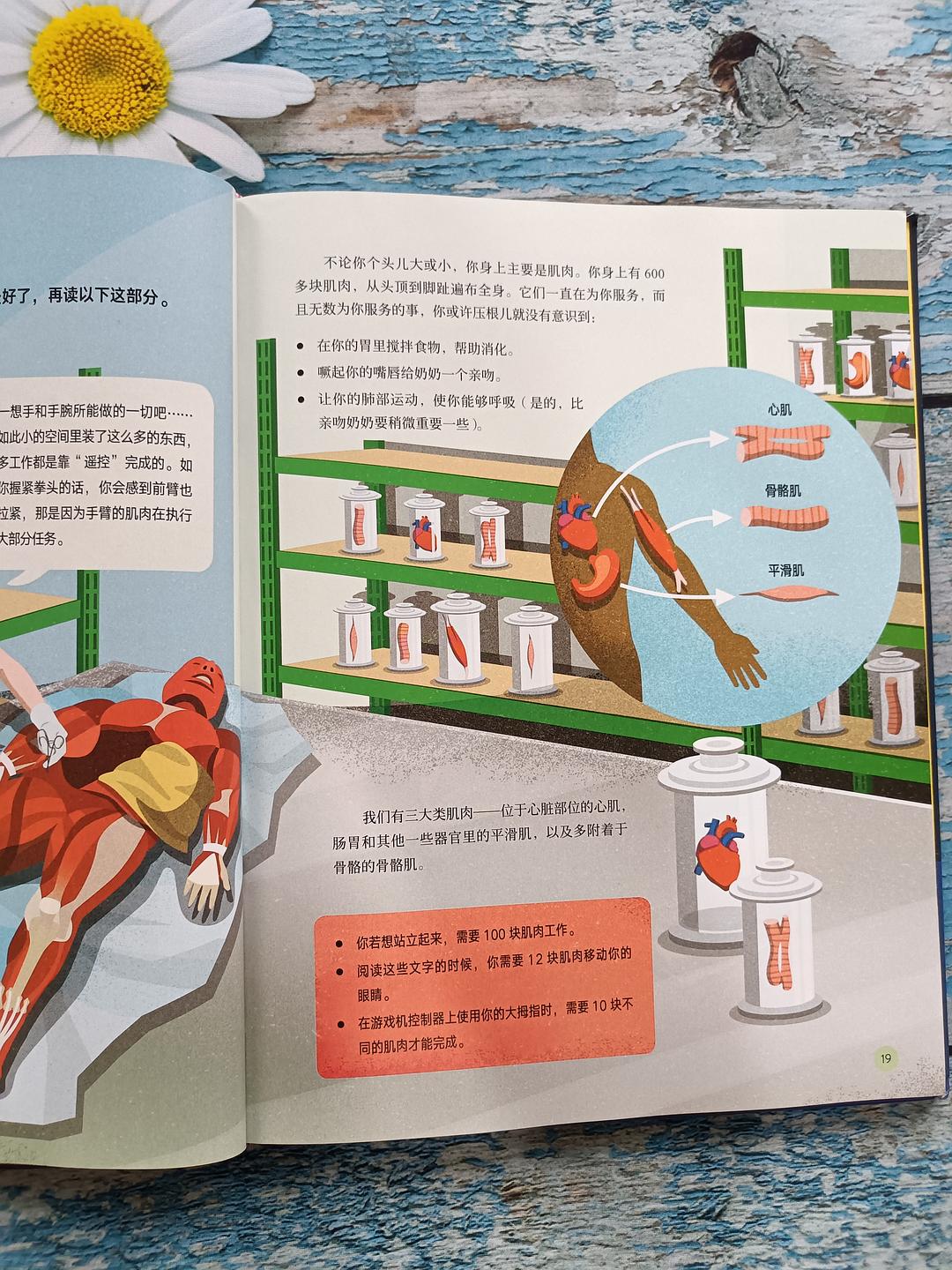 人体tv人体TV，探索生命奥秘的微观世界