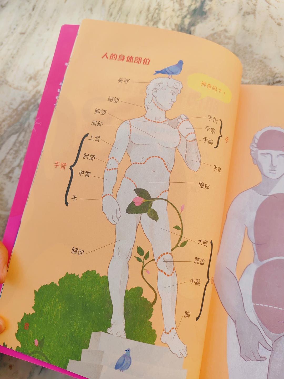含紧一点(H)探索身体语言之含紧一点（H）的奥秘-第3张图片