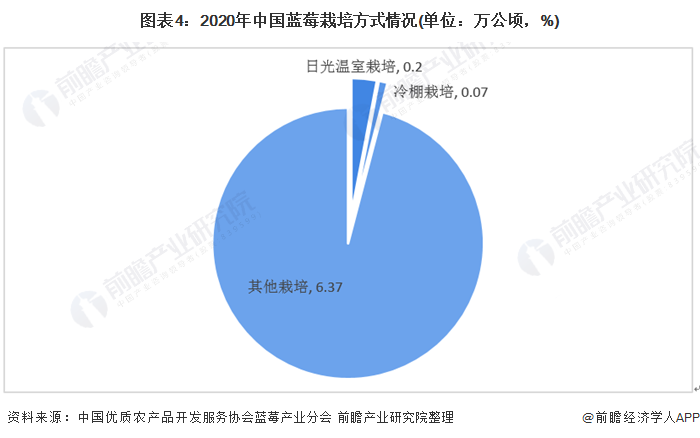 亚洲一线产区与二线产区的经济与文化发展
