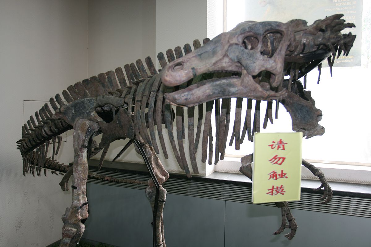 探宝大考验，一场未知的冒险之旅-第3张图片