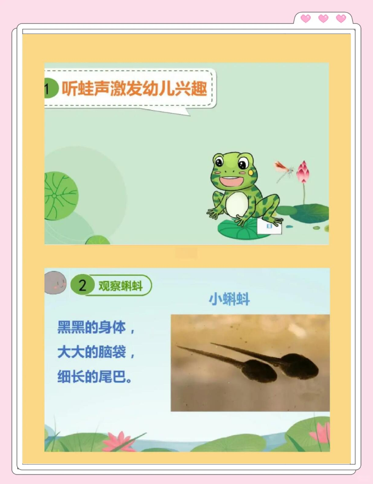 小蝌蚪视频下载在线播放小蝌蚪视频下载与在线播放的便捷体验