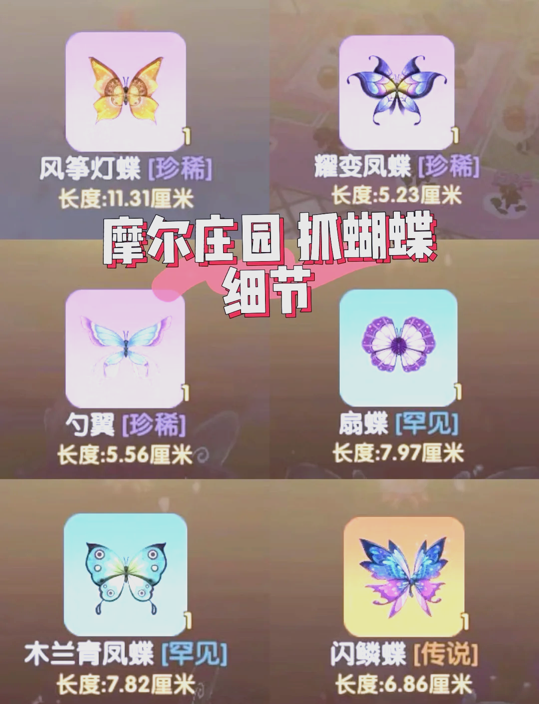 摩尔庄园天使，守护与奇迹的传说