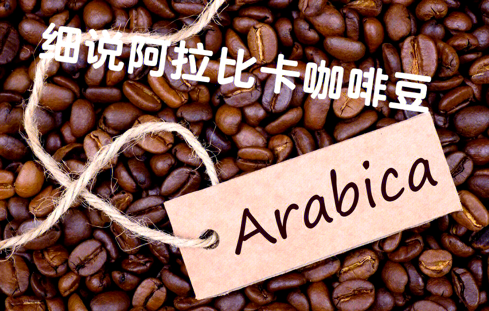 一卡三卡四卡无卡免费一卡三卡四卡无卡免费，探索现代支付方式的多样性与便利性-第2张图片