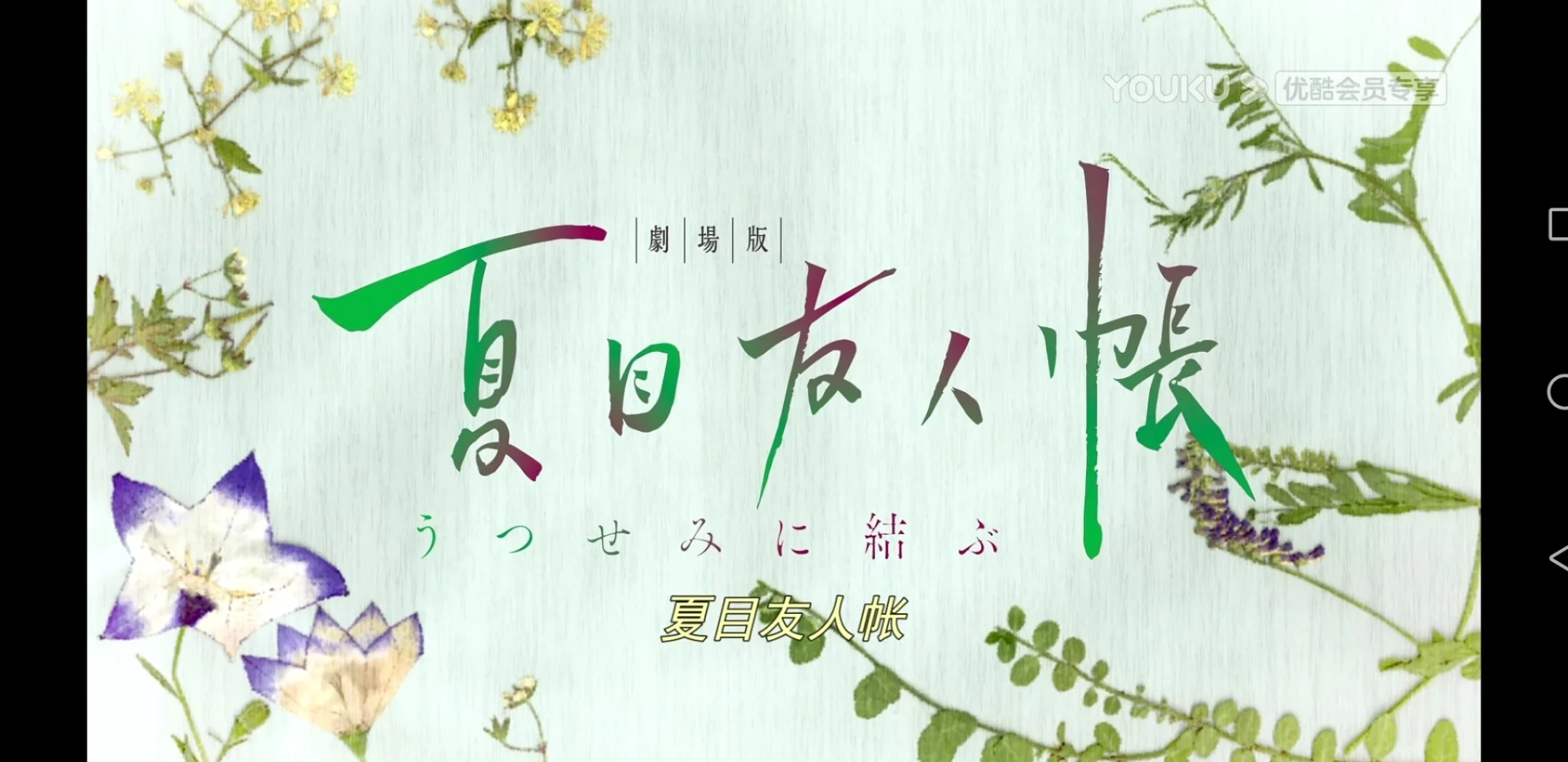夏目彩春夏目彩春的美丽画卷-第2张图片