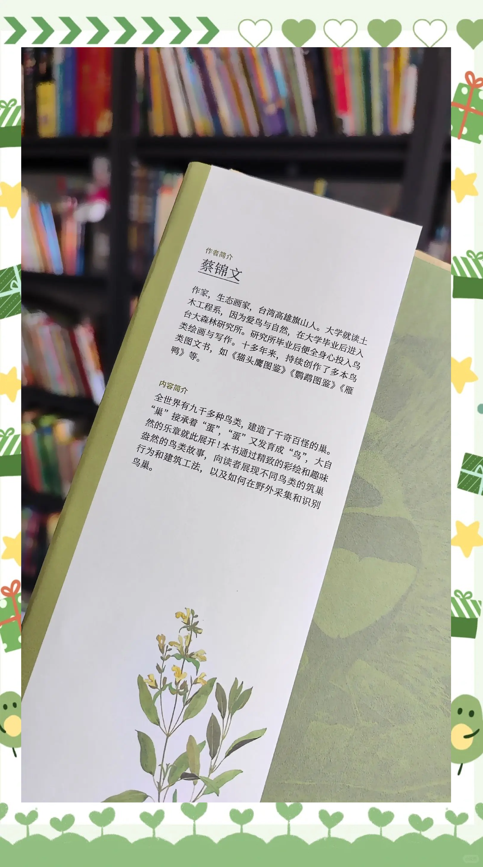 男生与女生之间的差异，理解与尊重的探索之旅