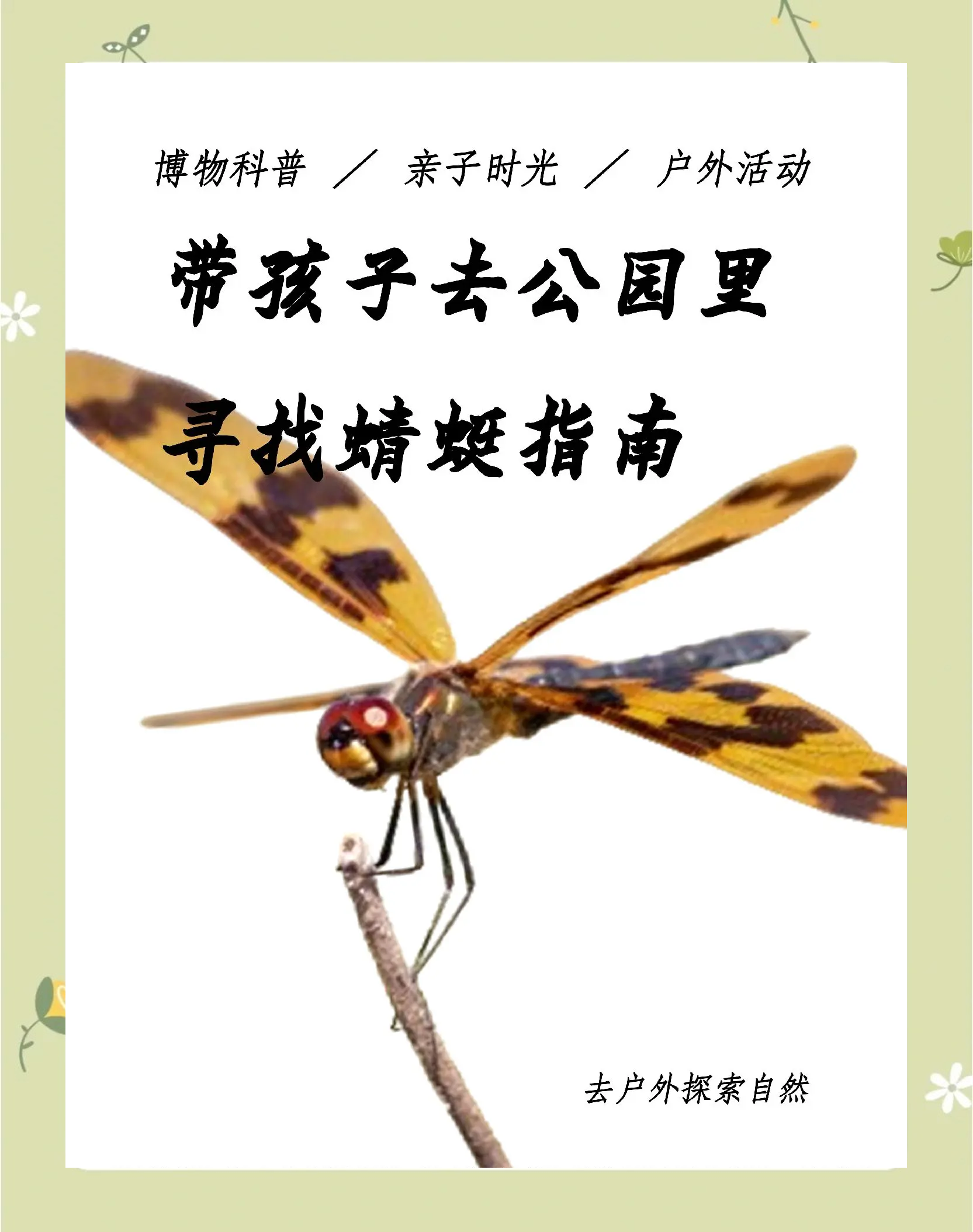探索tuoyixiaoyouxi的奥秘
