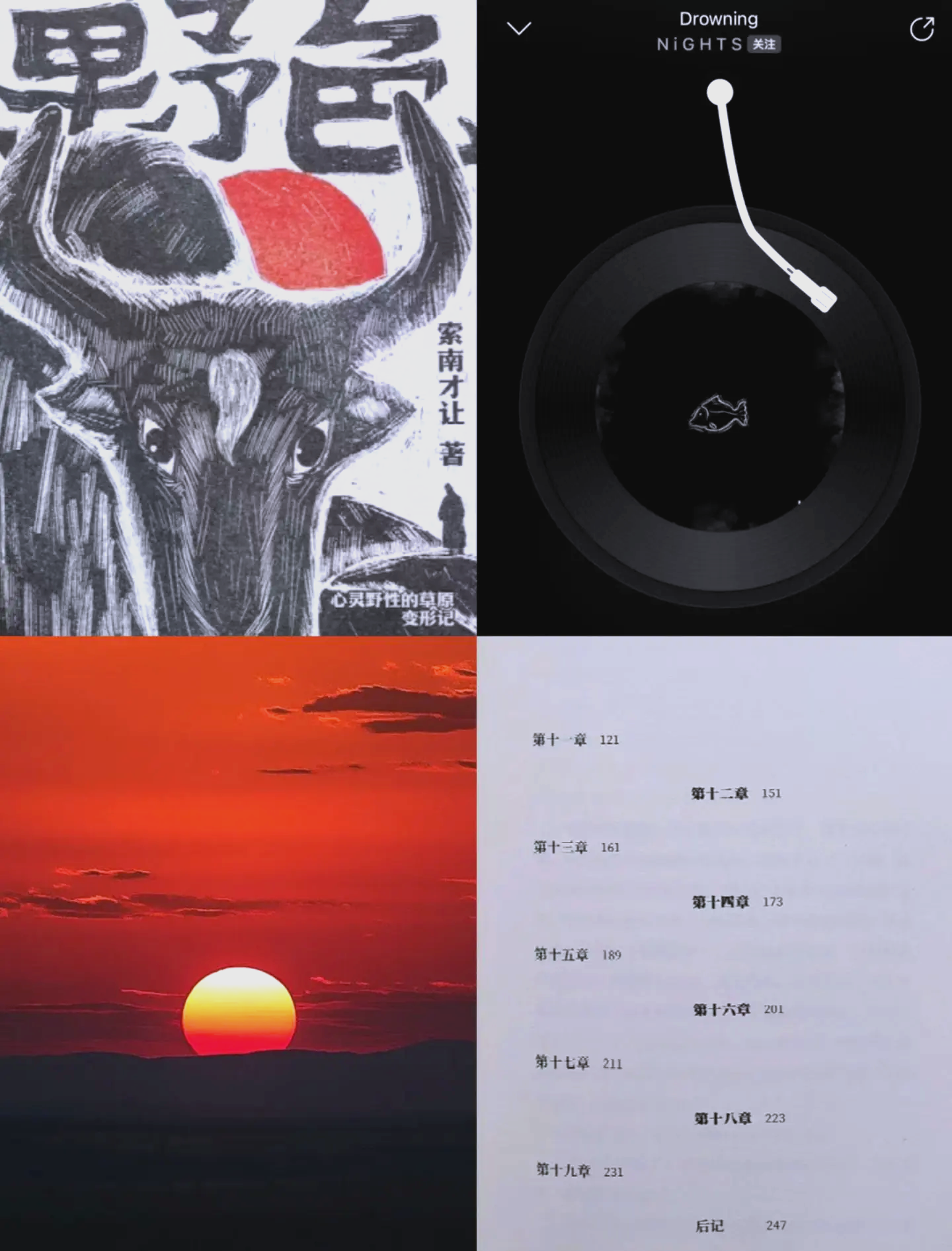 色色小说，探索文学的另一面