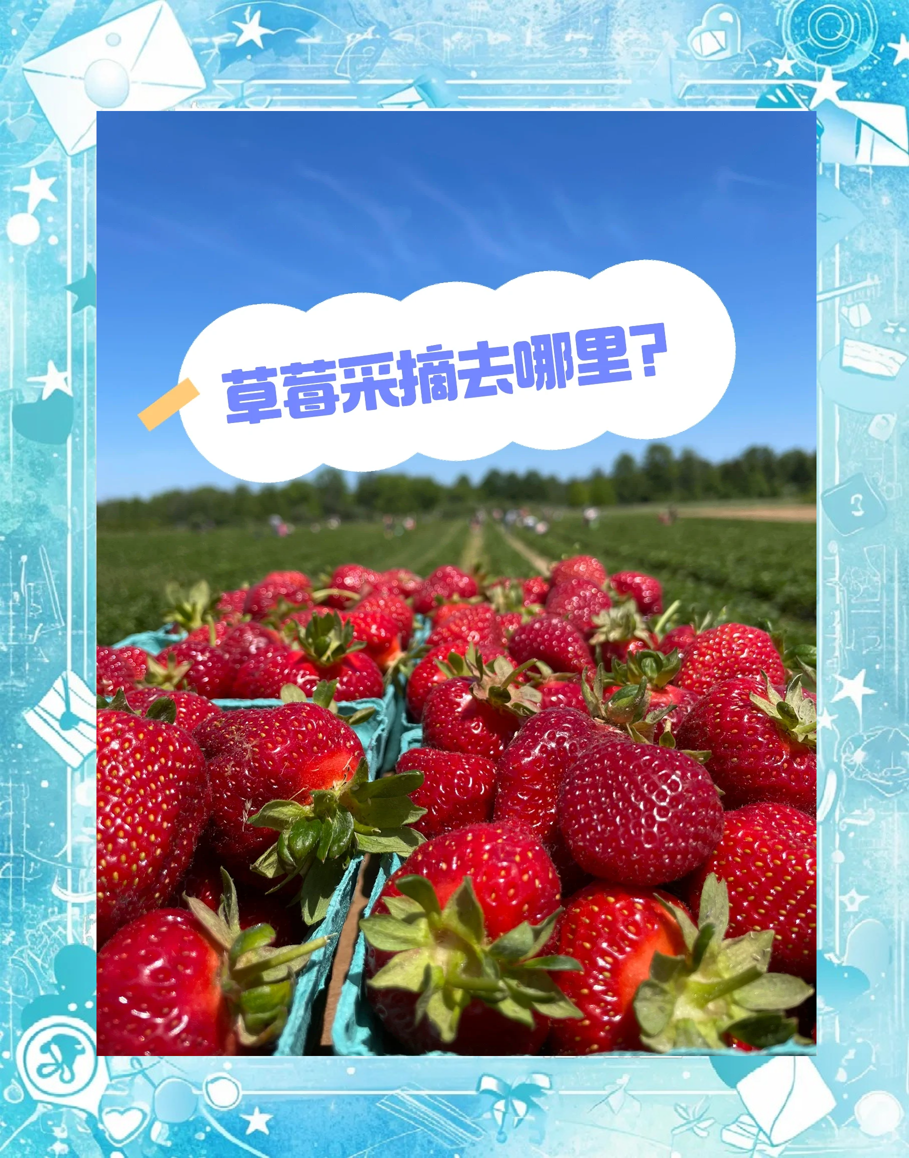 草莓视频安卓免费下载草莓视频安卓免费下载的便捷与乐趣
